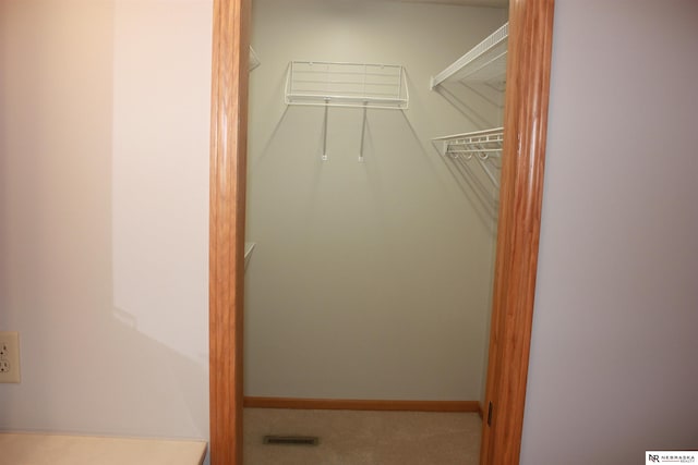 spacious closet featuring carpet