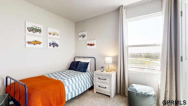 bedroom with carpet flooring