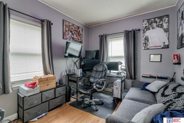 office featuring crown molding and wood finished floors