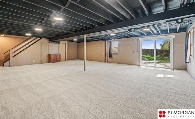 below grade area with carpet floors