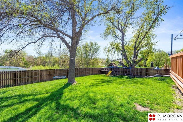 view of yard featuring a fenced backyard and a playground