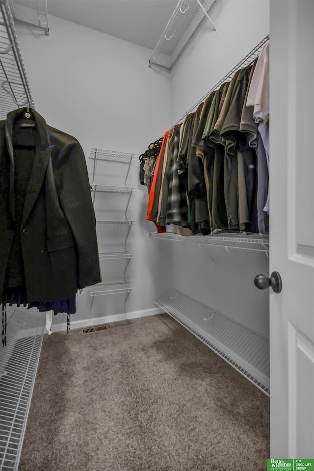 spacious closet featuring visible vents and carpet flooring
