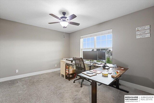 8230 Kilpatrick Pkwy, Bennington, NE 68007 - office space with a ceiling fan, carpet, and baseboards