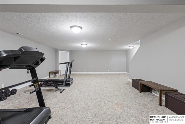 8230 Kilpatrick Pkwy, Bennington, NE 68007 - exercise room with carpet flooring, baseboards, and a textured ceiling