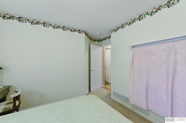 11402 Todd Dr, Blair, NE 68008 - view of carpeted bedroom
