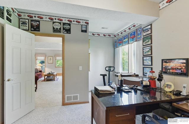 11402 Todd Dr, Blair, NE 68008 - carpeted office featuring healthy amount of natural light and baseboards