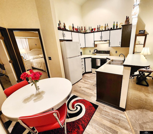 kitchen with freestanding refrigerator, a peninsula, electric stove, under cabinet range hood, and a sink