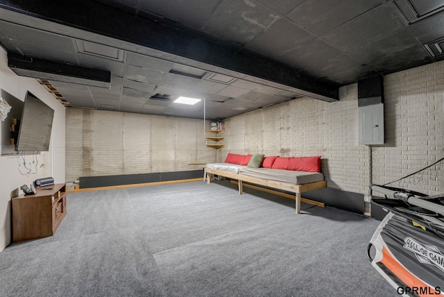 18063 Jones St, Elkhorn, NE 68022 - finished below grade area with a drop ceiling, carpet, and electric panel