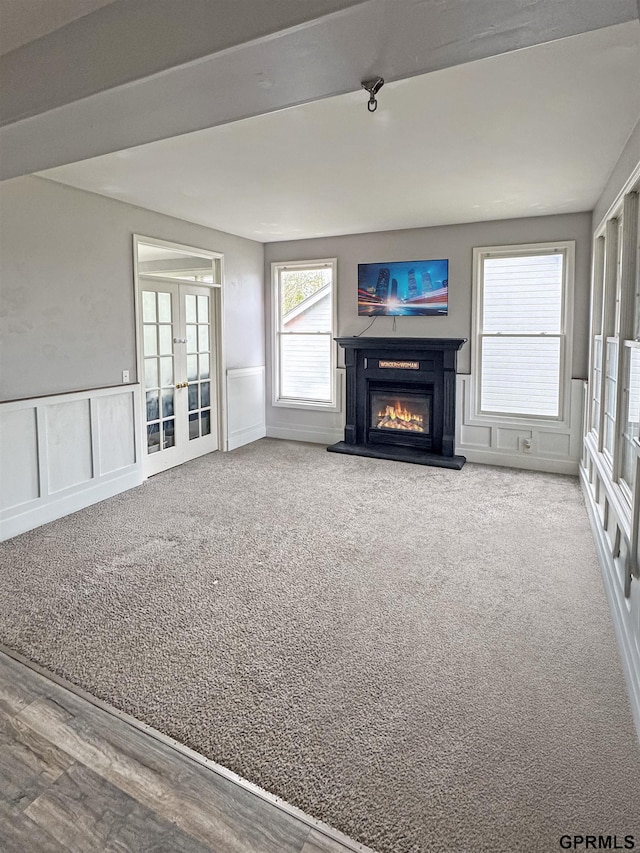 18063 Jones St, Elkhorn, NE 68022 - unfurnished living room with french doors, a glass covered fireplace, a healthy amount of sunlight, and carpet floors