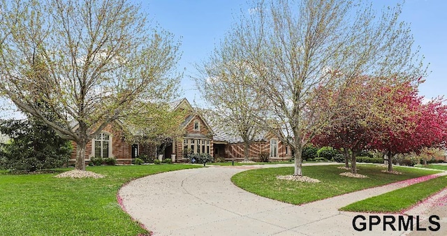 view of property's community with a lawn