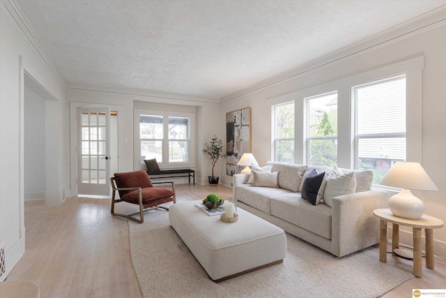 living room featuring crown molding, a textured ceiling, baseboards, and light wood-style flooring