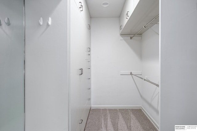 walk in closet with carpet floors
