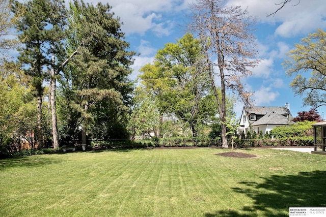 view of yard