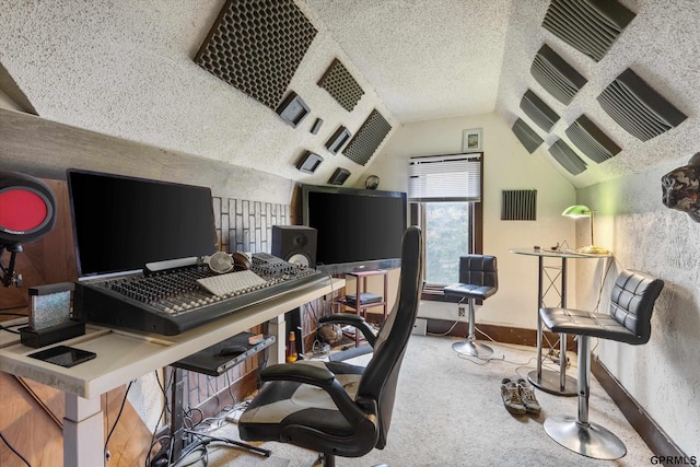 405 N 25th St, Lincoln, NE 68503 - carpeted office with baseboards, vaulted ceiling, and a textured ceiling