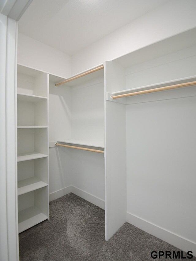 spacious closet with carpet flooring