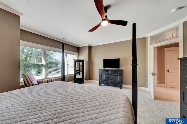bedroom with crown molding, carpet flooring, baseboards, and ceiling fan