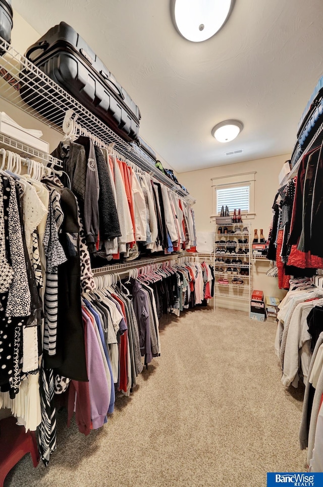 spacious closet with carpet flooring