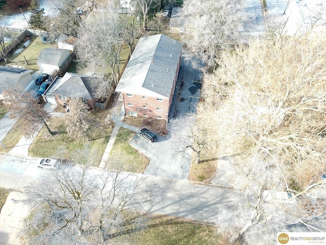 bird's eye view
