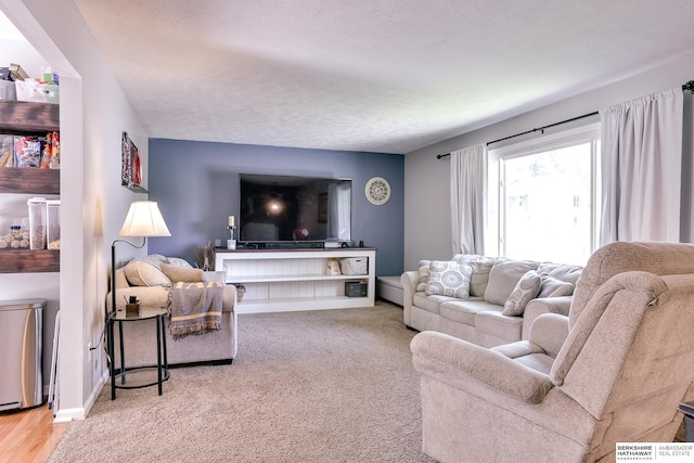 living room with carpet floors, a textured ceiling, and baseboards