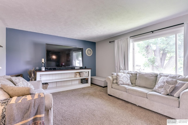 living area with carpet floors and a textured ceiling