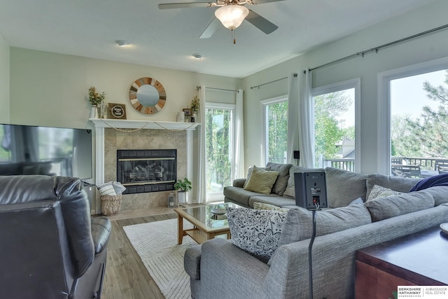 living area featuring a ceiling fan, wood finished floors, and a fireplace