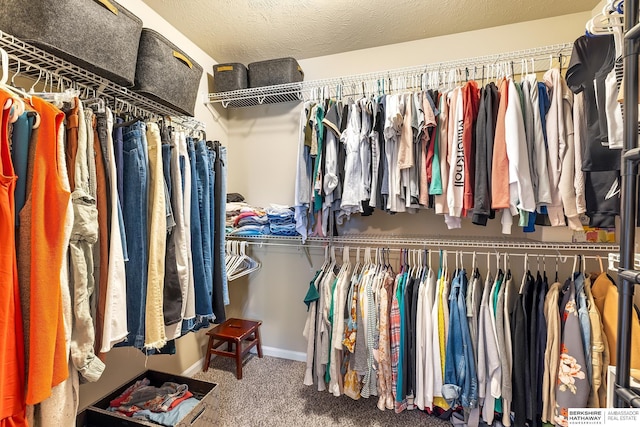 spacious closet featuring carpet flooring