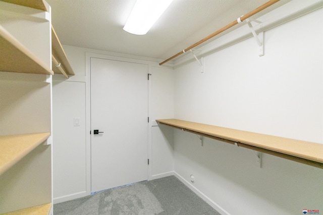 walk in closet featuring light carpet