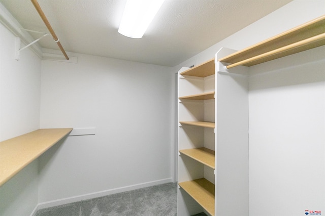 walk in closet with carpet