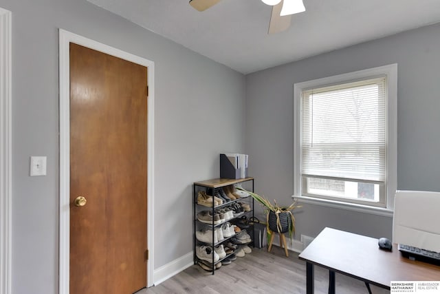 home office with baseboards, a ceiling fan, and light wood-style flooring