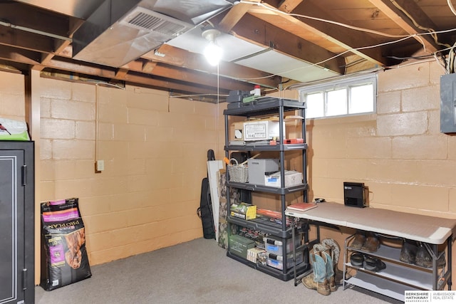 basement featuring electric panel
