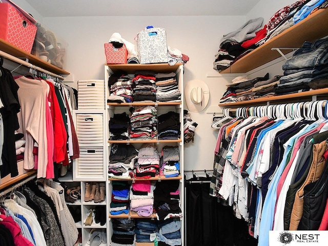 view of walk in closet