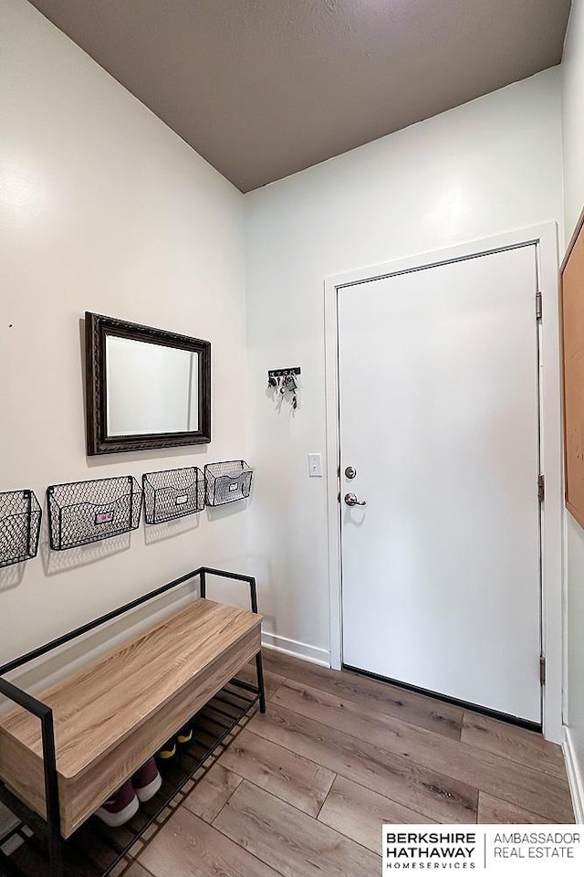 entrance foyer featuring baseboards and light wood-style flooring