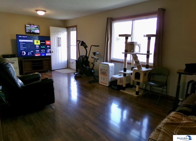 living area featuring wood finished floors