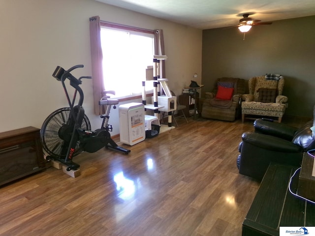 living room with a ceiling fan and wood finished floors