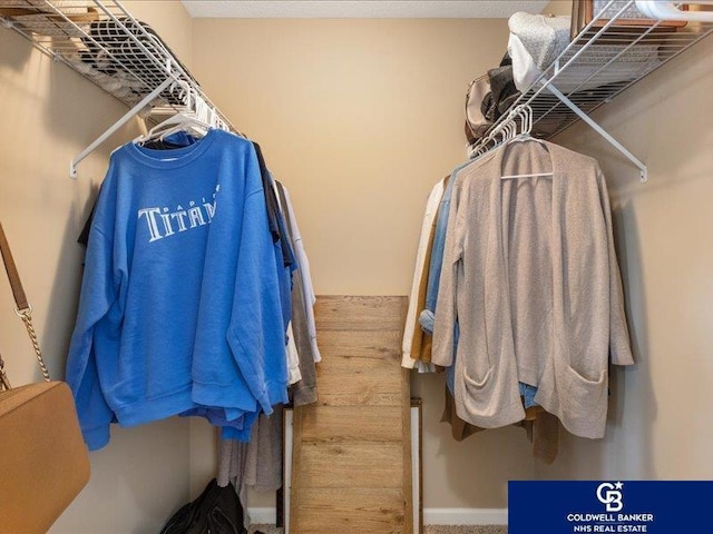 view of walk in closet
