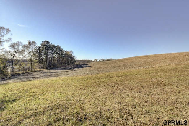 view of yard featuring a rural view