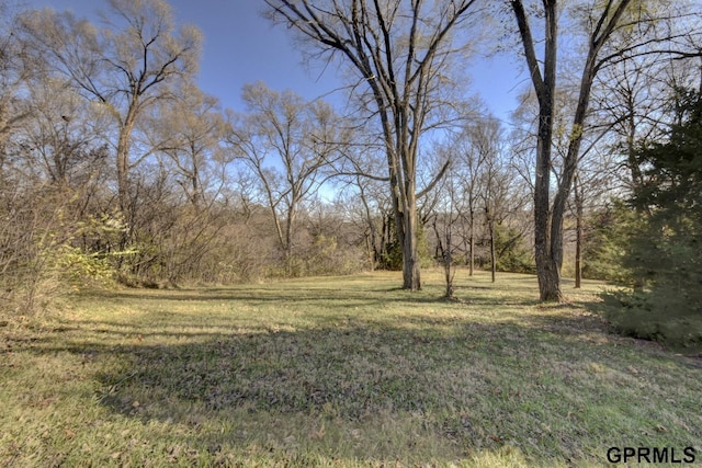 view of yard featuring a view of trees