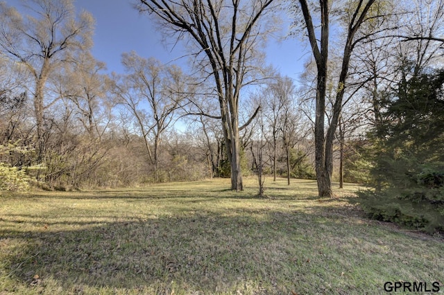 view of yard with a wooded view