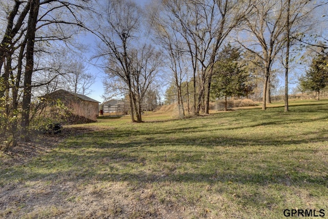 view of yard