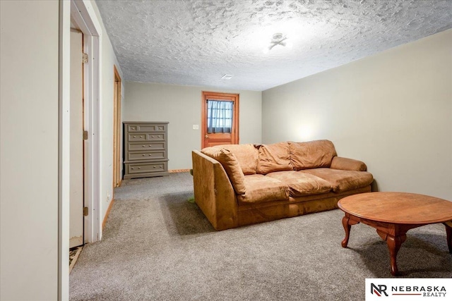 carpeted living room with a textured ceiling