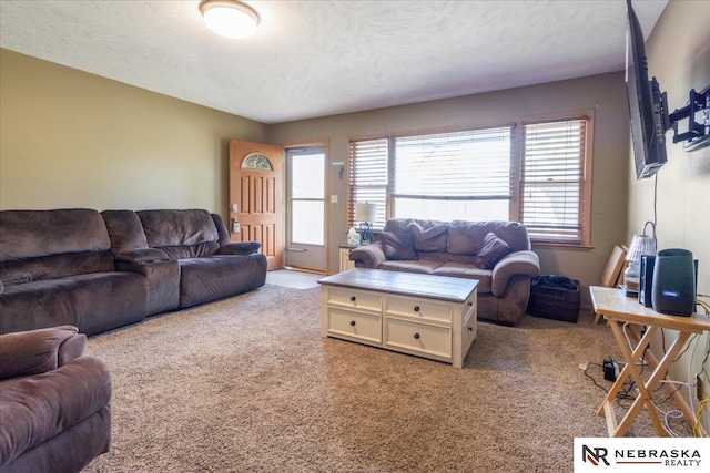 living area featuring carpet and a textured ceiling