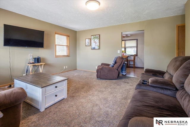 living area with carpet flooring, a textured ceiling, plenty of natural light, and baseboards