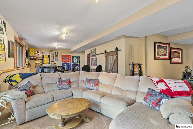 living area featuring a barn door