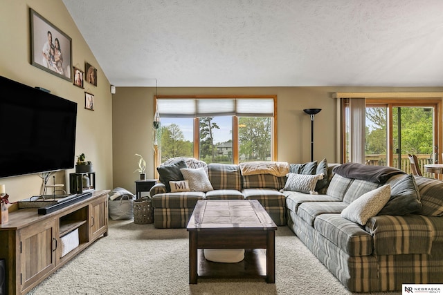 living area featuring plenty of natural light, a textured ceiling, and light colored carpet