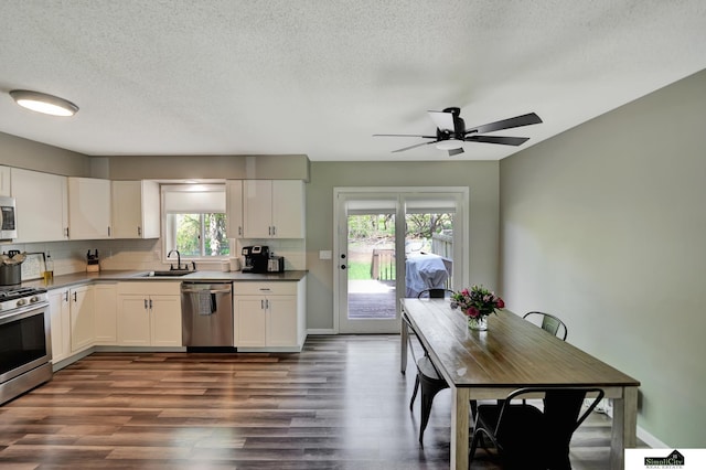 kitchen featuring ceiling fan, appliances with stainless steel finishes, dark wood finished floors, a sink, and white cabinetry