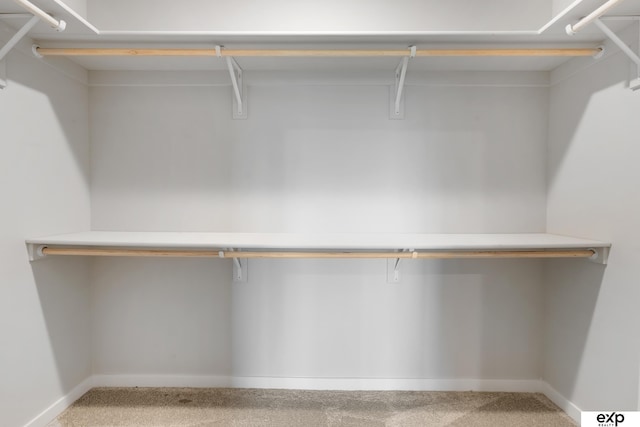 walk in closet with carpet flooring
