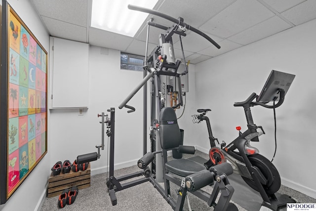 exercise room with baseboards, a paneled ceiling, and carpet
