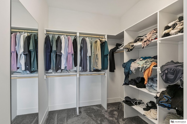 walk in closet featuring carpet floors