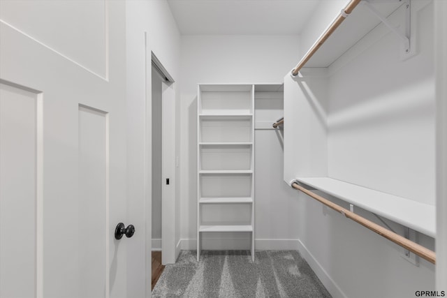 6710 S 207th Ave, Elkhorn, NE 68022 - walk in closet with dark colored carpet