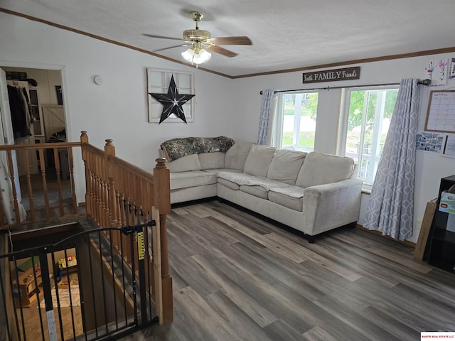 living room featuring ceiling fan, ornamental molding, and wood finished floors